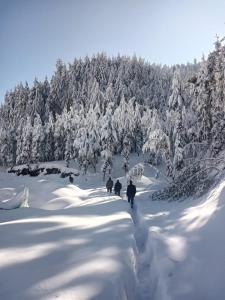 Freebird Nest Retreat