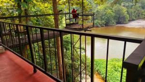Riverview Adventure Resort