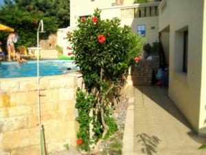 Villiana Holiday Apartments Heraklio Greece