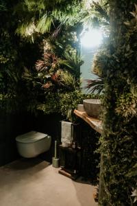 La Jungle de Toulon, Voyage Sensoriel & Spa