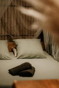 La Jungle de Toulon, Voyage Sensoriel & Spa
