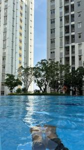 Cozy Studio Apart Springlake Summarecon Bekasi