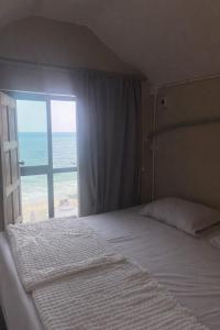 Noahs Ark Beachfront