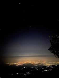 Pine Tree Homestay