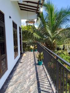 Luminous Horizon - Weligama