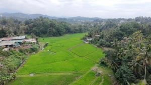 The Secret Place Hotel & Resort