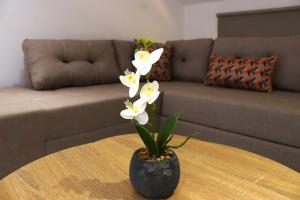 Banana Bay Residence- 4BR with Pool,Table tennis,1min from the Sea and Watersports by Villa Mana Gers