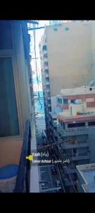 ميامي الاسكندريه