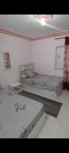 ميامي الاسكندريه