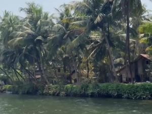 Sharvati Backwater Homestay