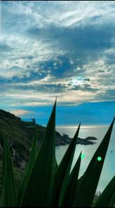 Chrstal Loft Praia do Forte, Cabo Frio