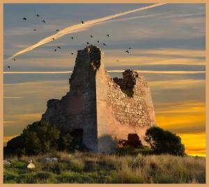 Isidoro Home Holidays