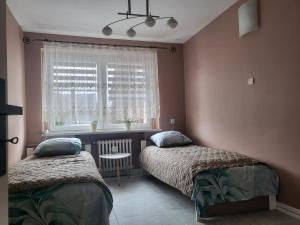 Apartament Bajka