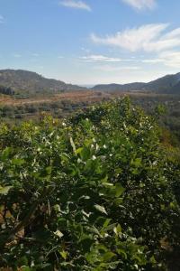 Apartment Das Haus der Julia by Interhome