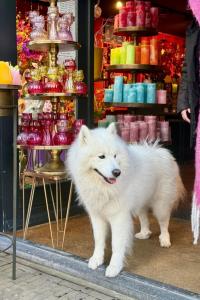 Holiday Home Rekerlanden 174 by Interhome