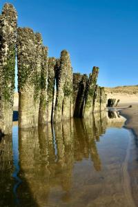 Holiday Home Rekerlanden 174 by Interhome