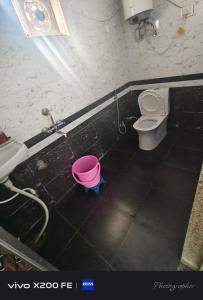 Hotel karishna palace