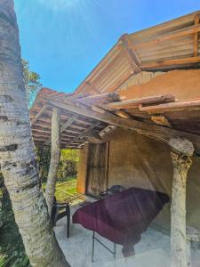 Freedom Safari Lodge