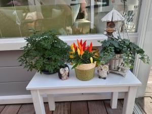 Holiday Home Schöne Familien-Ferienwohnung in Zeeland by Interhome