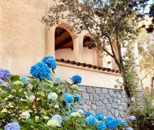 Villa Isolabella