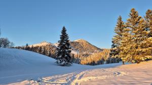 Holiday cottage Pod Smreko