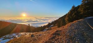 Holiday cottage Pod Smreko