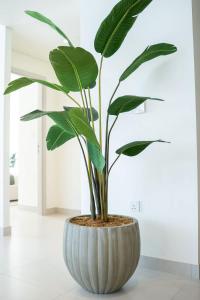Airstay - Beachfront 1BR - Private Beach Access - Monthly Offer Available