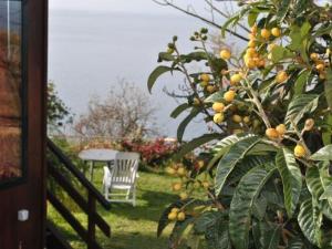 Holiday Home in Canhas mit Schönem Garten by Interhome