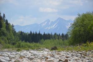 Apartamenty nad Przełomem Białki Apartments in a nature reserve Przełom Białki