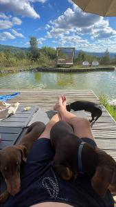 Monkey Tiny Barnhouse with amazing views at ZevariClub!