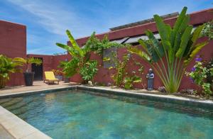 Villa Coco Chic - Piscine privée - Paradis Tropical