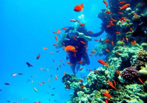 La Quinta Beach Resort Hurghada