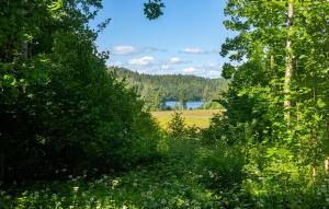 Cozy Home In Dals-Rostock With Kitchen