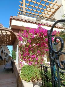 Sharky villa sea view