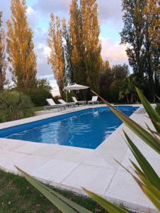 ALAMEDAS del SUR CABAÑAS