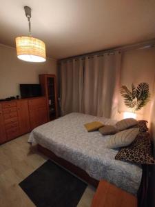 Apartament Manhattan Czechowice Dziedzice
