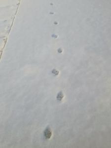 Jihuheon is a traditional Korean hanok accommodation with a jacuzzi and a large yard