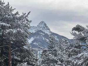 Chalet neuf proche des stations de ski
