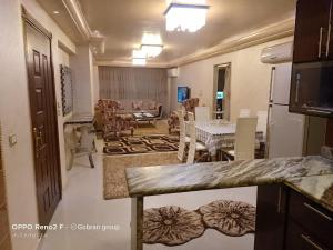 شقة المهندسين