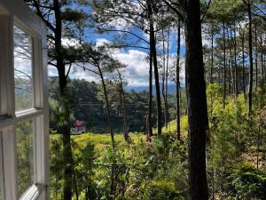 Forest lodge - Entire rental