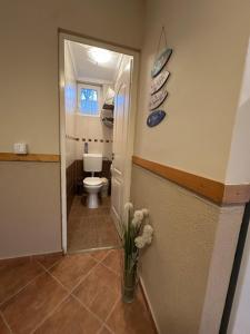 Aranyeső Apartman- 300 méterre a strandtól