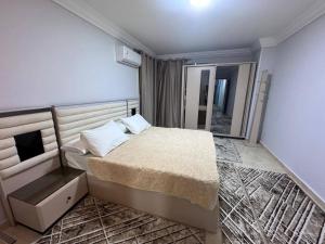 Miami Beach,Alexandria