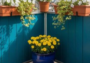 Ihr Zuhause am Dom Stilvoll übernachten im Herzen von Halberstadt