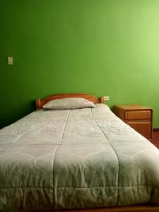 Puno CANDELARIA 2026