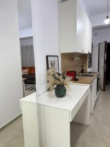 Apartament Drasa Serenity