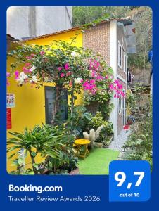 ỐC Homestay Cat Ba