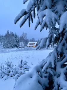 Chalupa U Tří Srnek