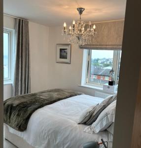 Cardiff luxury apartments