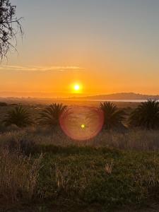 Domo en Tongoy naturaleza paz y armonía