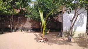 Private House near Arugam Bay with Wi-Fi - BayNest